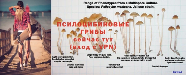 марки nbome Вяземский